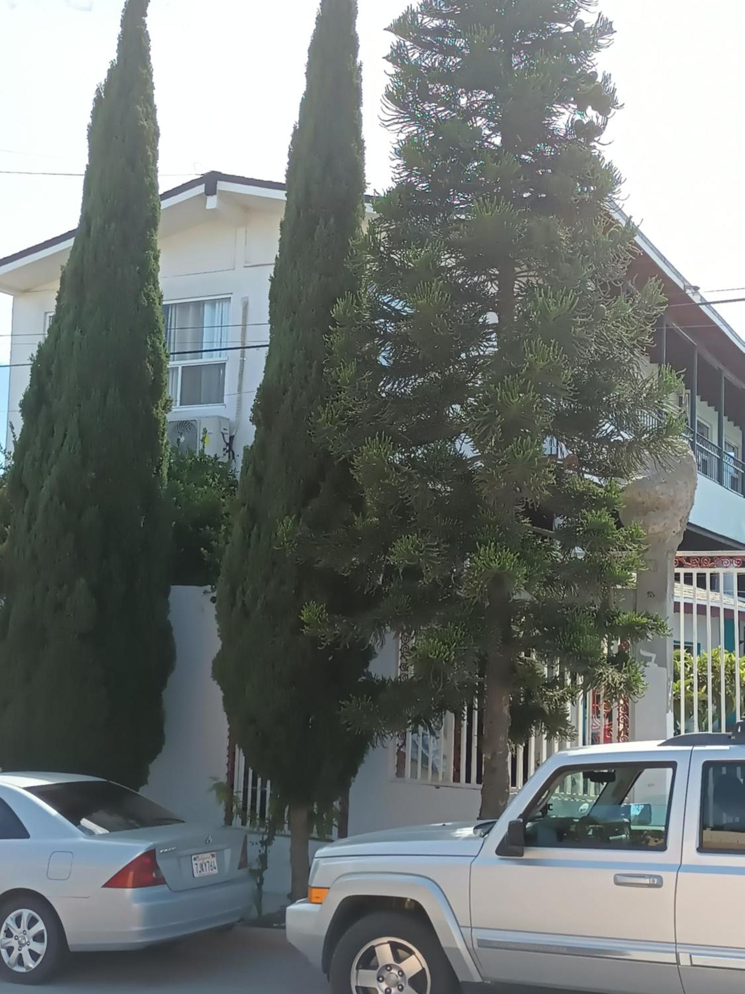 Apartamentos Rosarito.!! Con Vista Al Mar ! Экстерьер фото